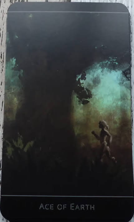 The Lost Forest Tarot